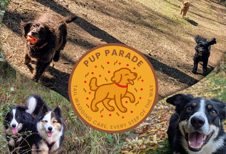 Dog walking Stratford-upon-Avon